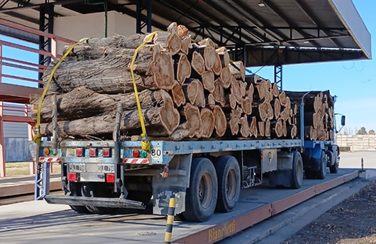 Transporte