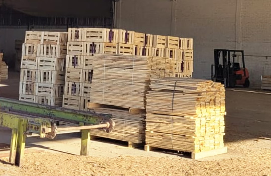 Madera