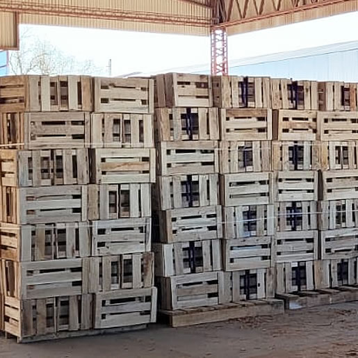 Cajones para fruta
